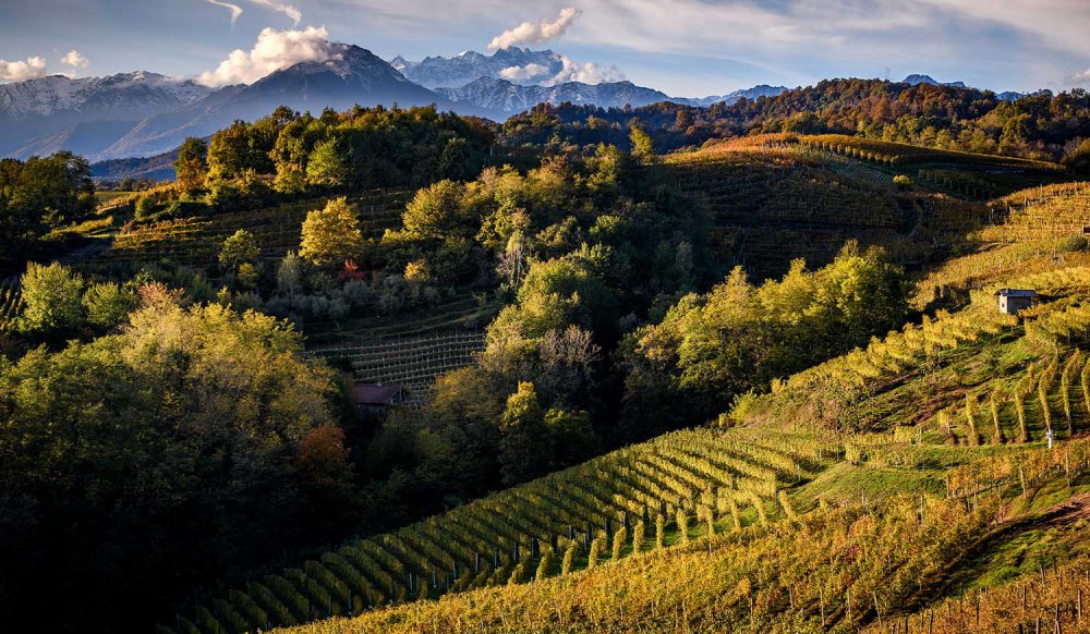 Visit Valsesia Vercelli