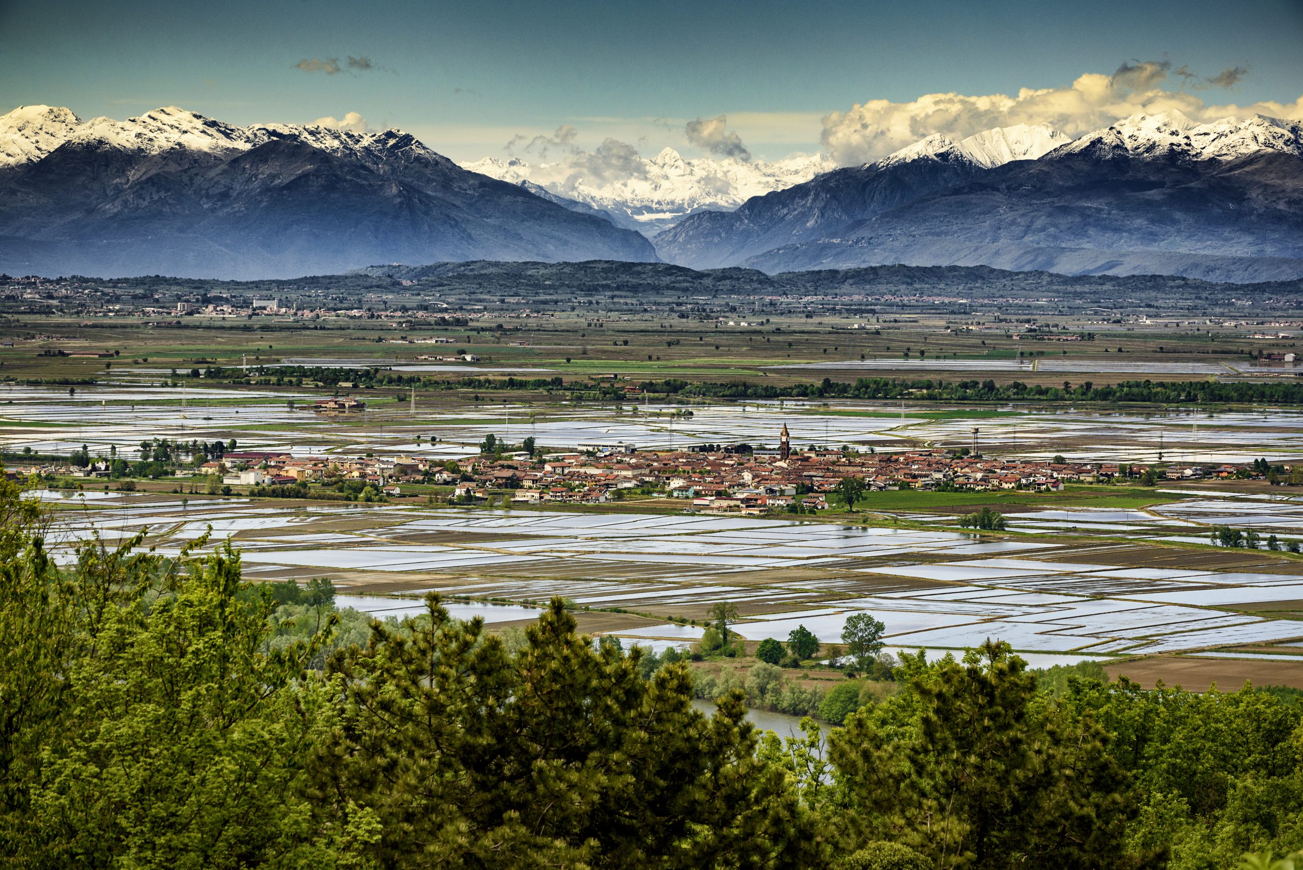 Fiume Po Natura E Risaie A Due Passi Dal Monferrato