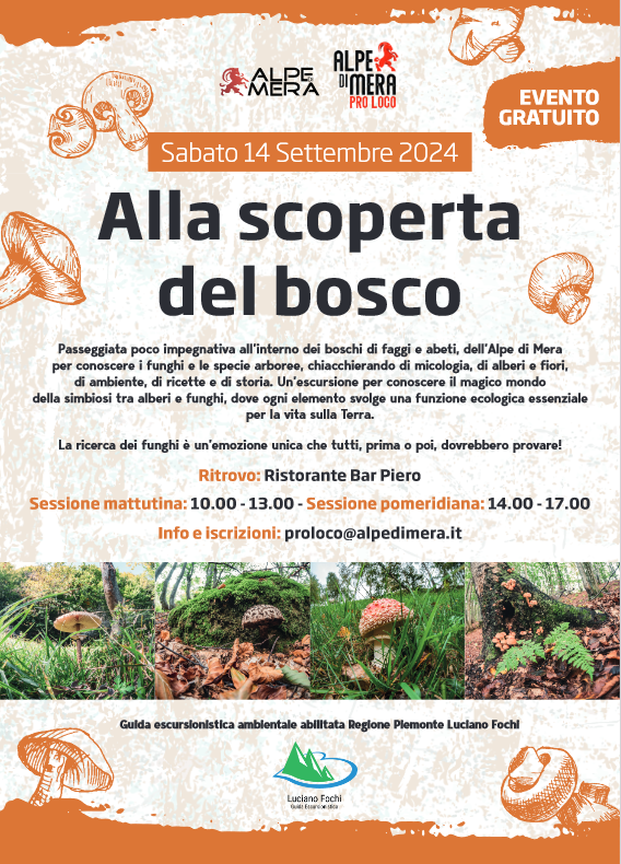 Locandina alla scoperta del bosco