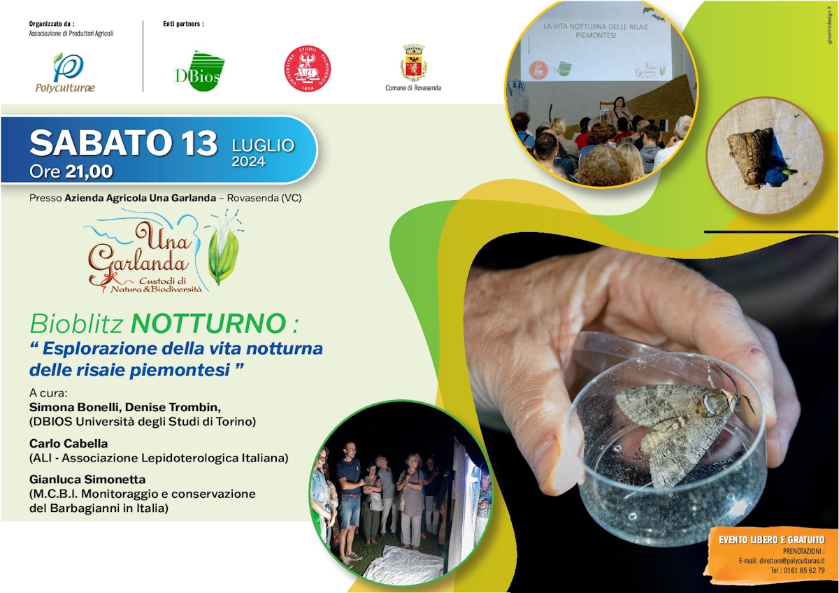 Locandina bioblitz notturno