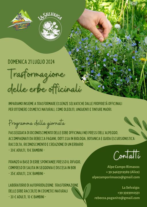 Locandina trasformazione delle erbe officinali