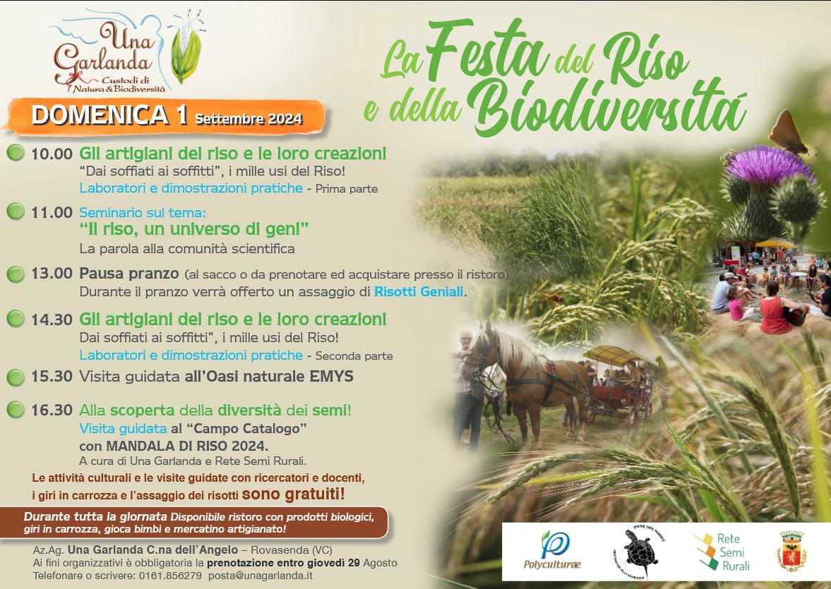 Locandina festa del riso e della biodiversità.