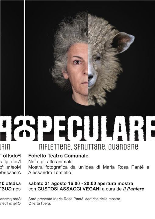 Locandina mostra Speculare