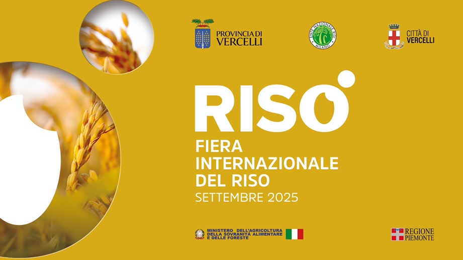 Risò locandina