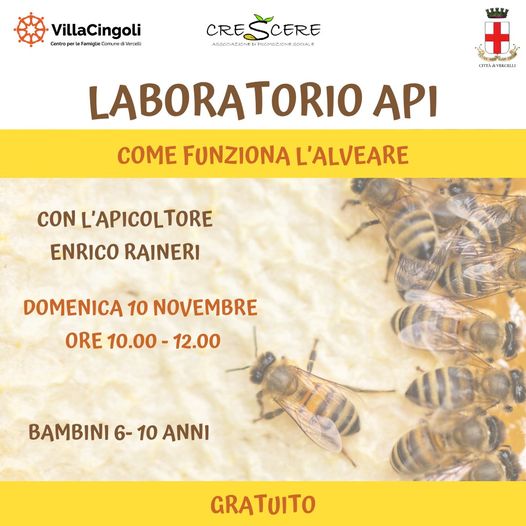 Locandina laboratorio api