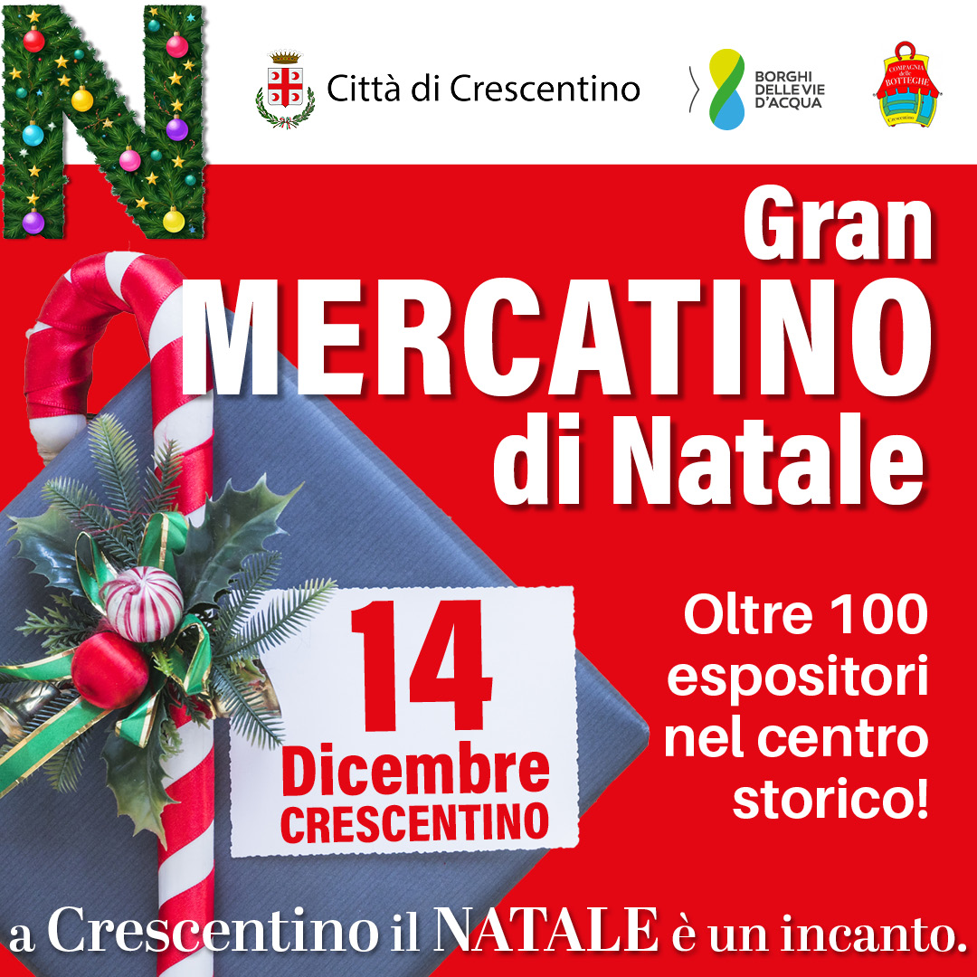 Gran mercatino di natale