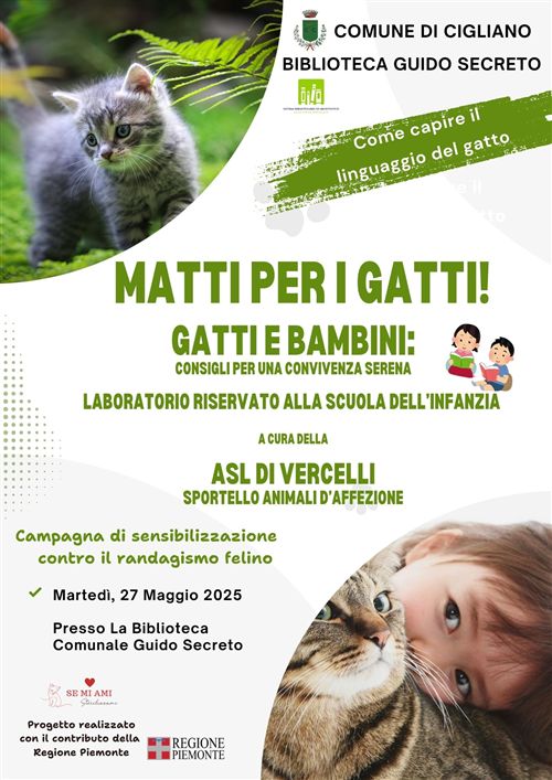 locandina matti per i gatti