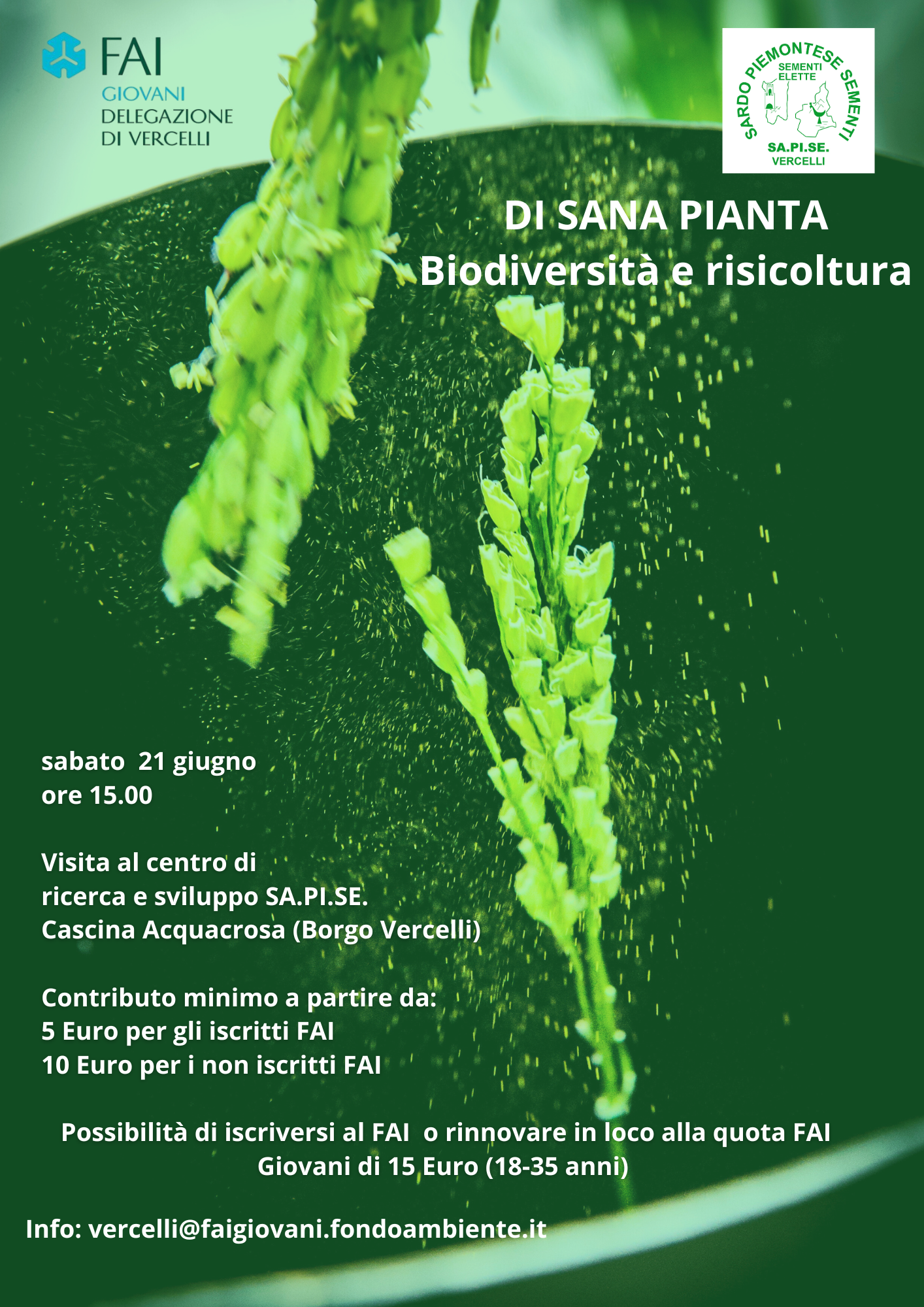 locandina di sana pianta