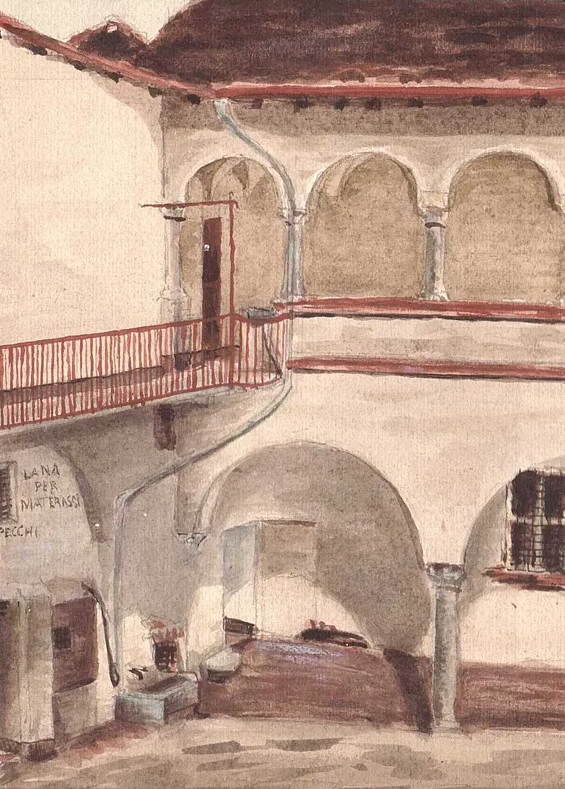museo leone risò