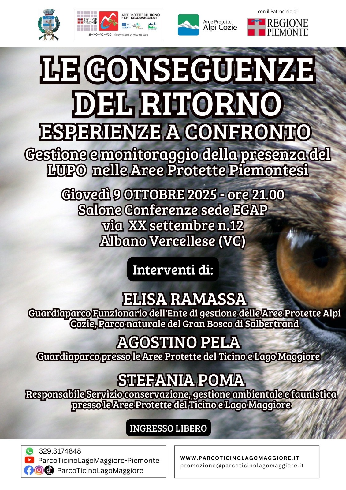 locandina le conseguenze del ritorno