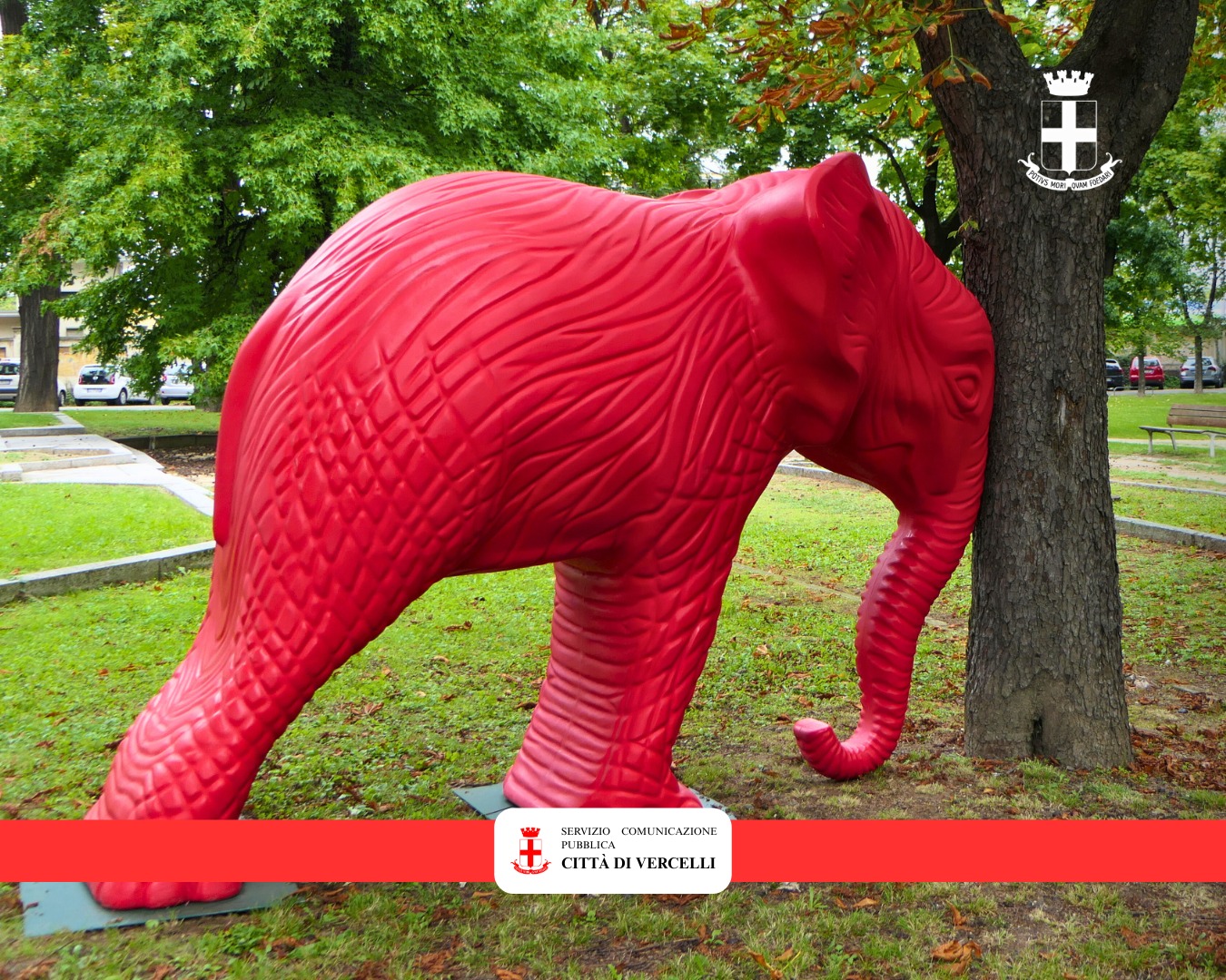 immagine elefante cracking art