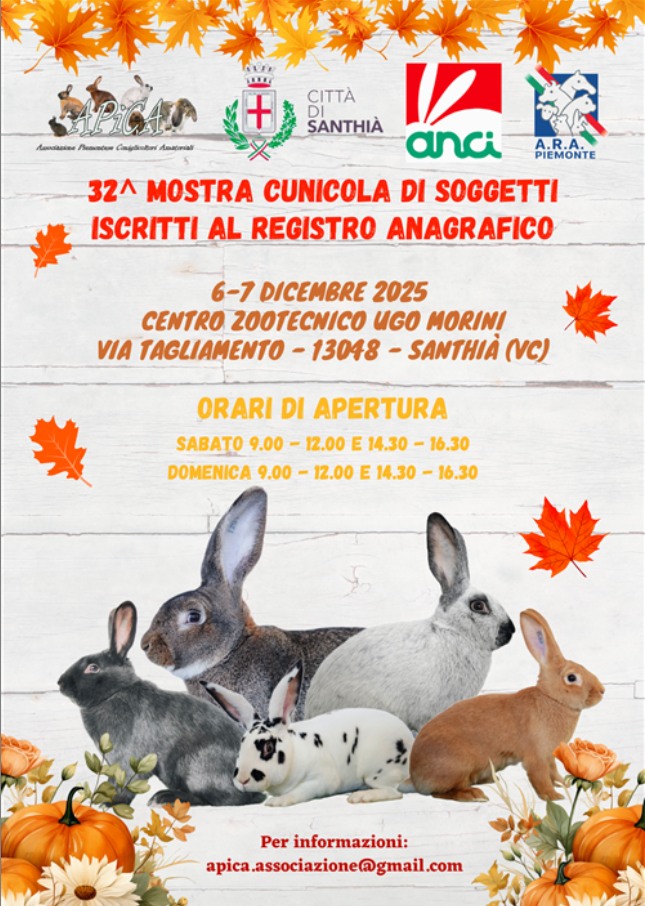 locandina mostra cunicola