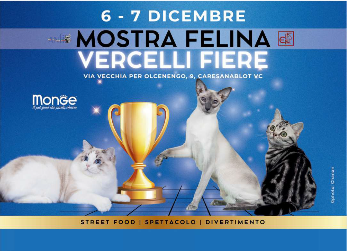 locandina mostra felina