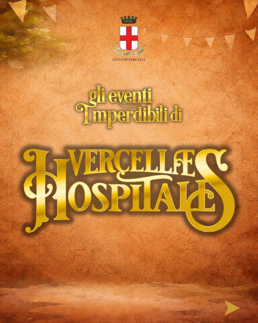Vercellae hospitales