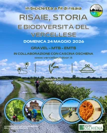 Risaie, storia e biodiversità