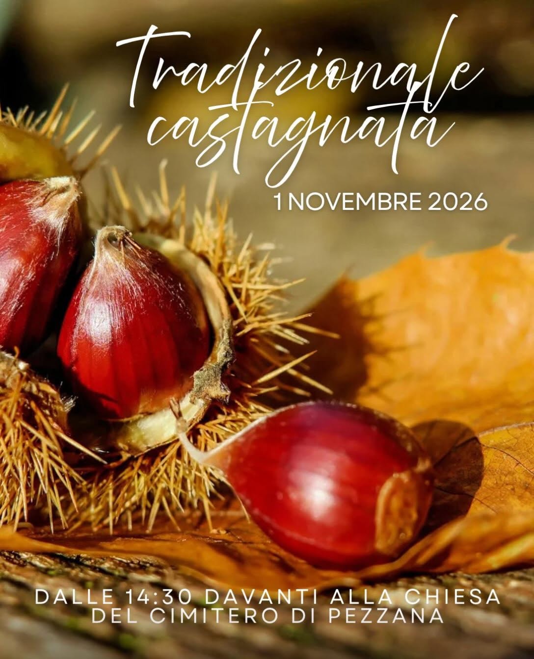 Tradizionale castagnata