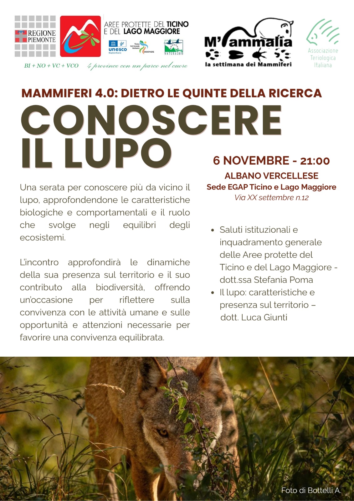 Conoscere il lupo