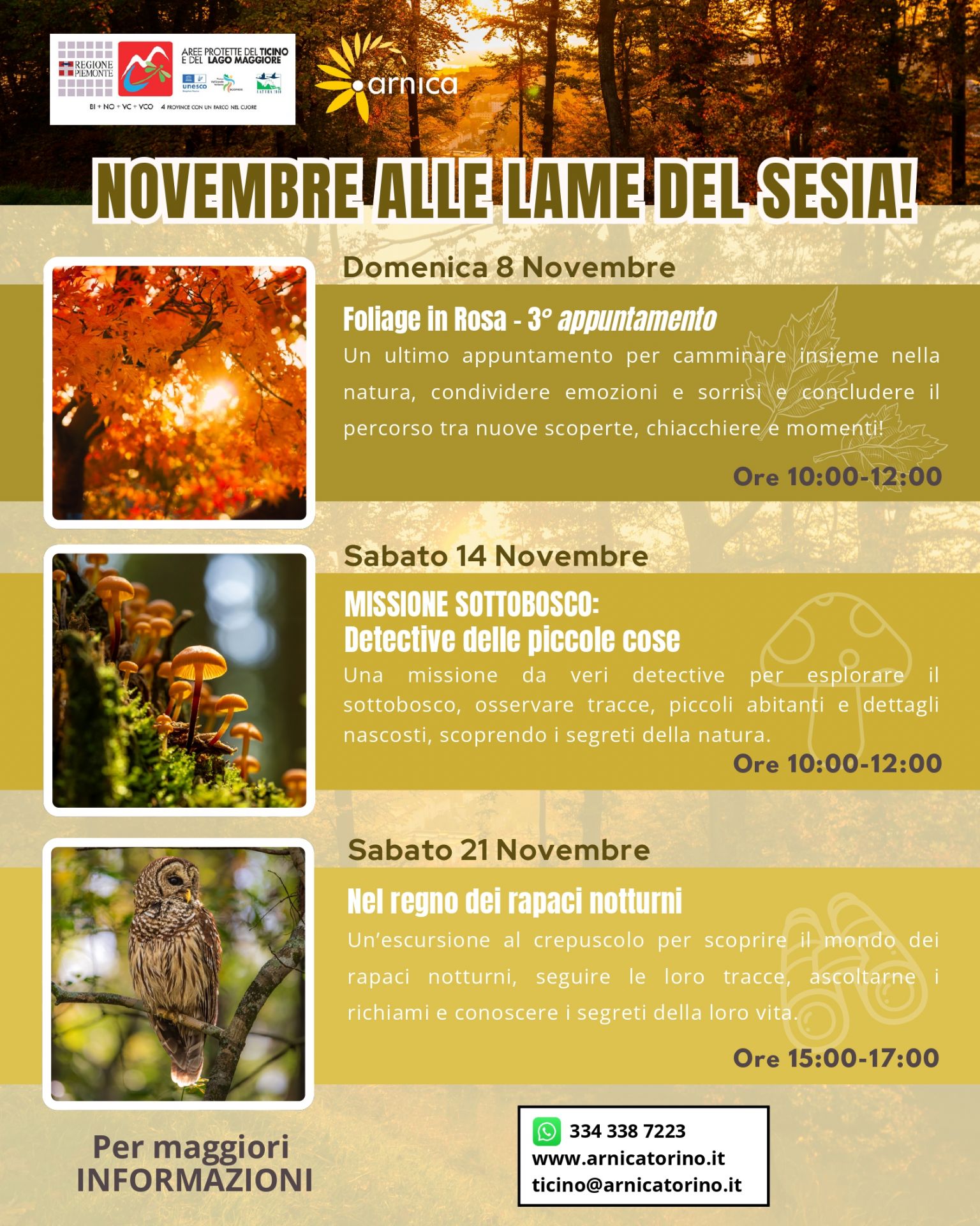 8 novembre